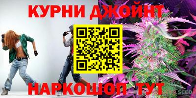 спиды Заводоуковск